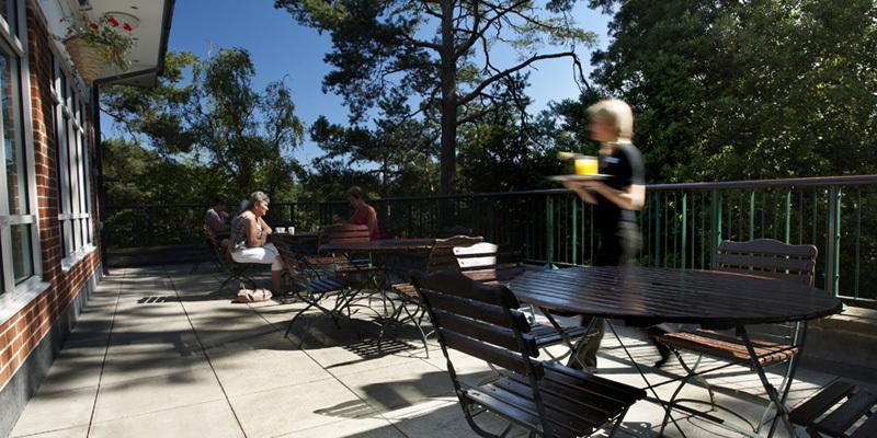 The Lodge At Meyrick Park Bournemouth Exterior foto